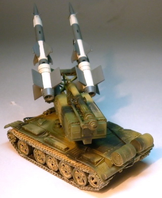 C-125 C-125_T-55 (2).JPG